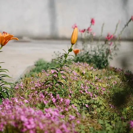 Appartamento Veronika Jezera