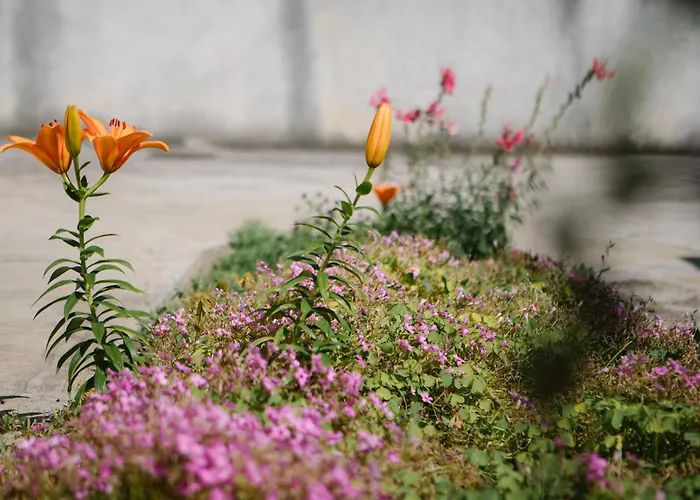 Appartement Veronika Jezera